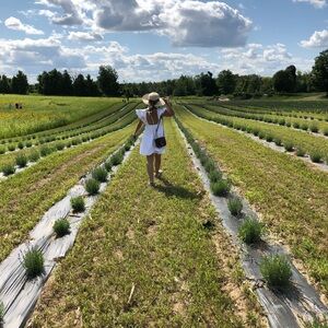 Urban Outfitters White Babydoll Backless Dress